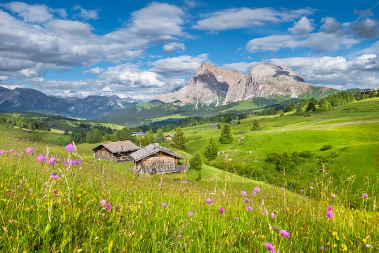 Alpe di Siusi i Dolomiterna, Sydtyrolen, Italien