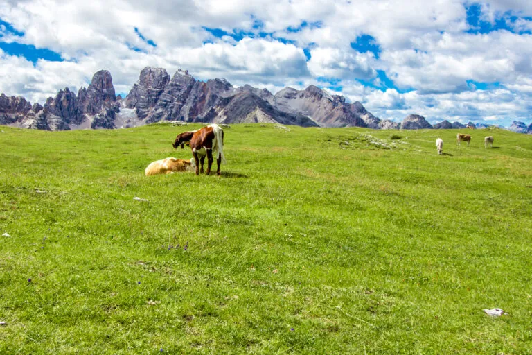 Прато Пьяцца, знаменитое плато в Доломитовых Альпах, в Южном Тироле, Италия