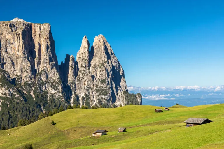 Auf der Seiser Alm, Alpe di Siusi, mit Blick auf den Schlern, Sciliar, Südtirol